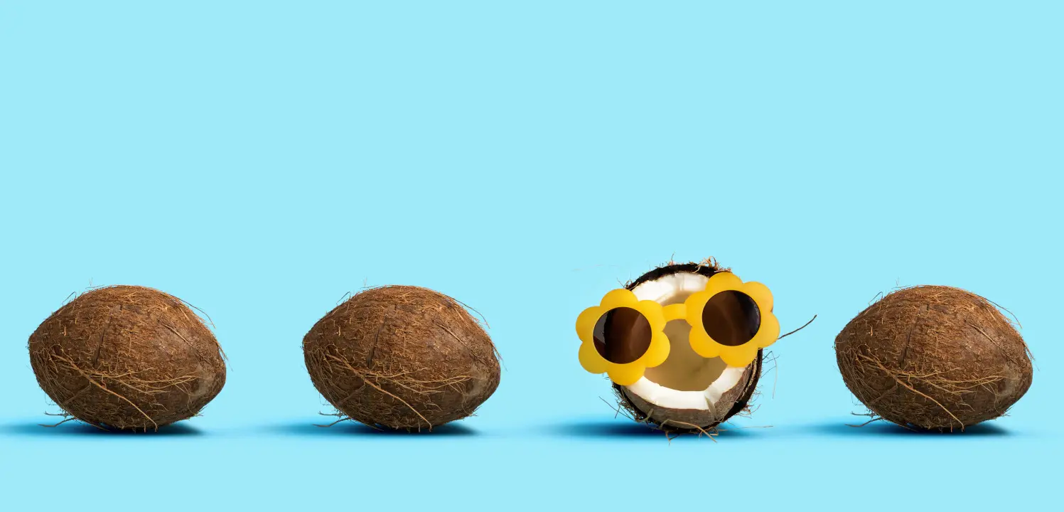 One out unique coconut wearing sunglasses with many coconut shells
